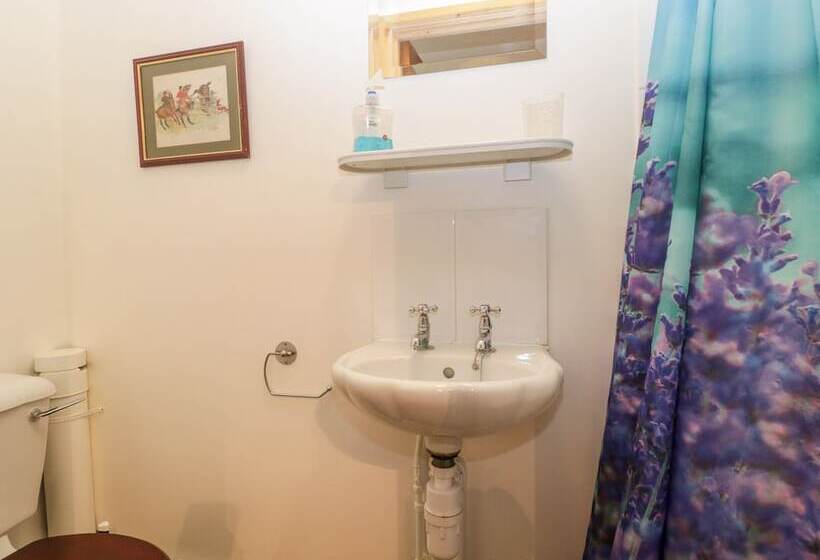 The Old Goat Barn At Trout Cottage