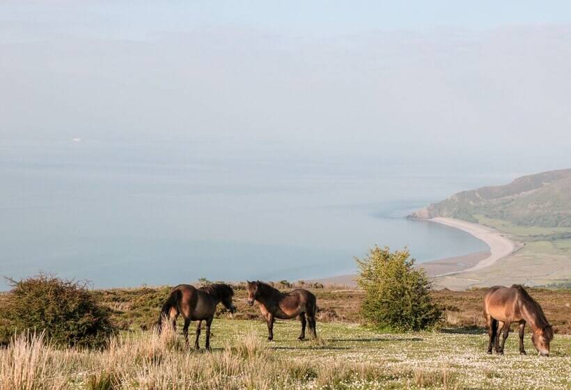 3 Old Police Station