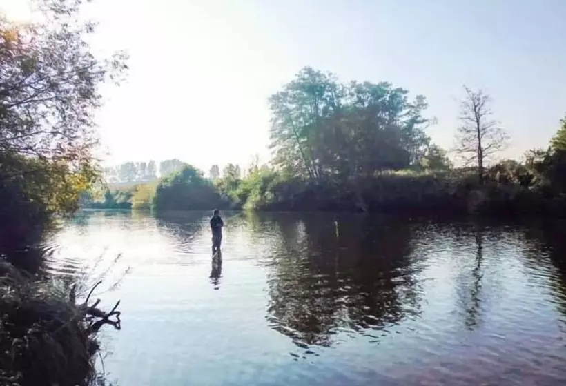 Herons