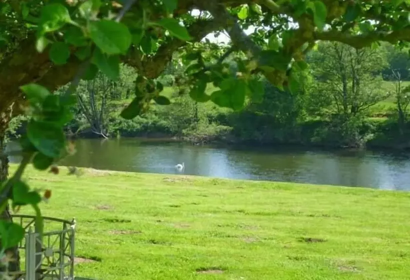 Herons