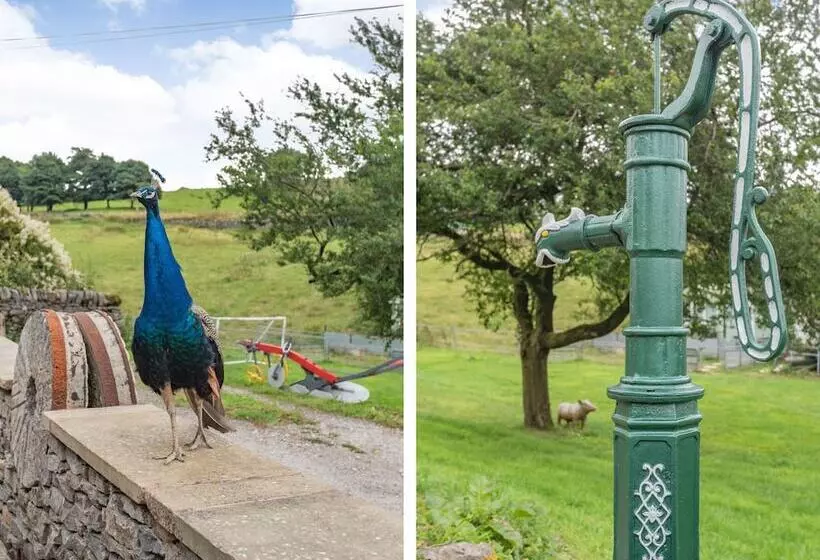 Peacock Cottage