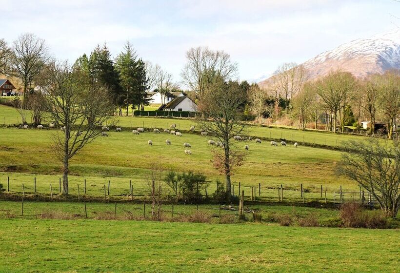 The Four Oaks Chalet