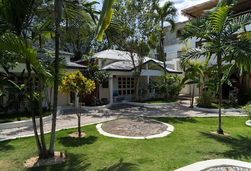 Afreeka Beach Hostel & Music Bar