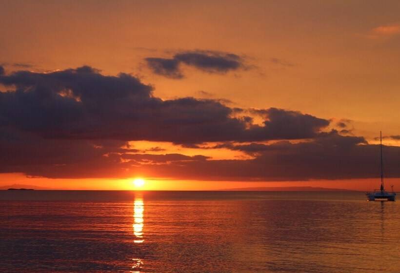 Afreeka Beach Hostel & Music Bar