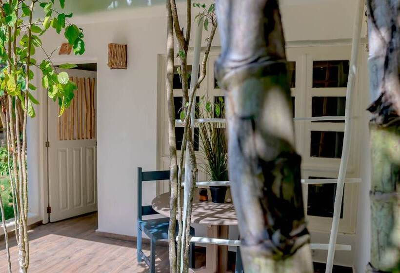 Afreeka Beach Hostel & Music Bar