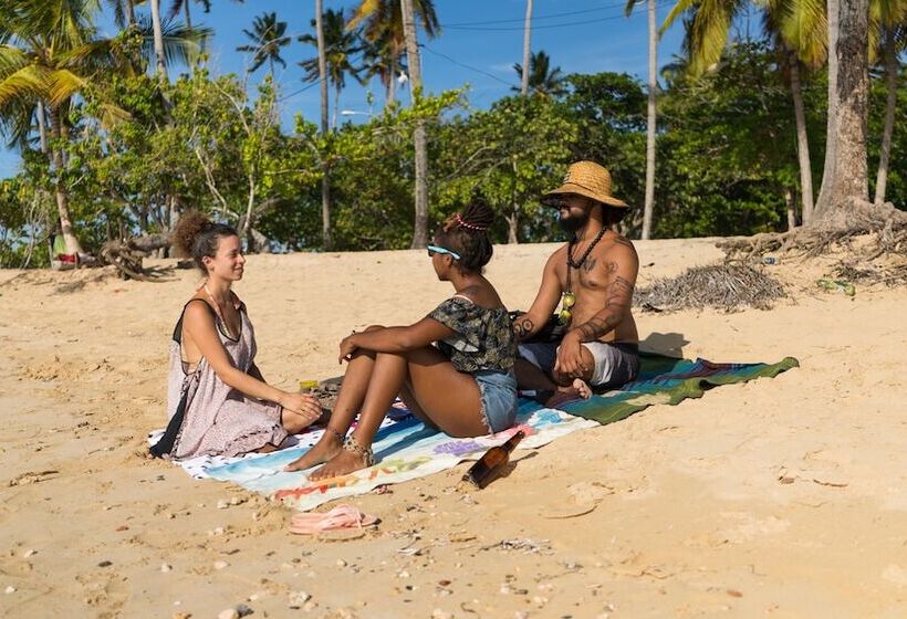 Afreeka Beach Hostel & Music Bar