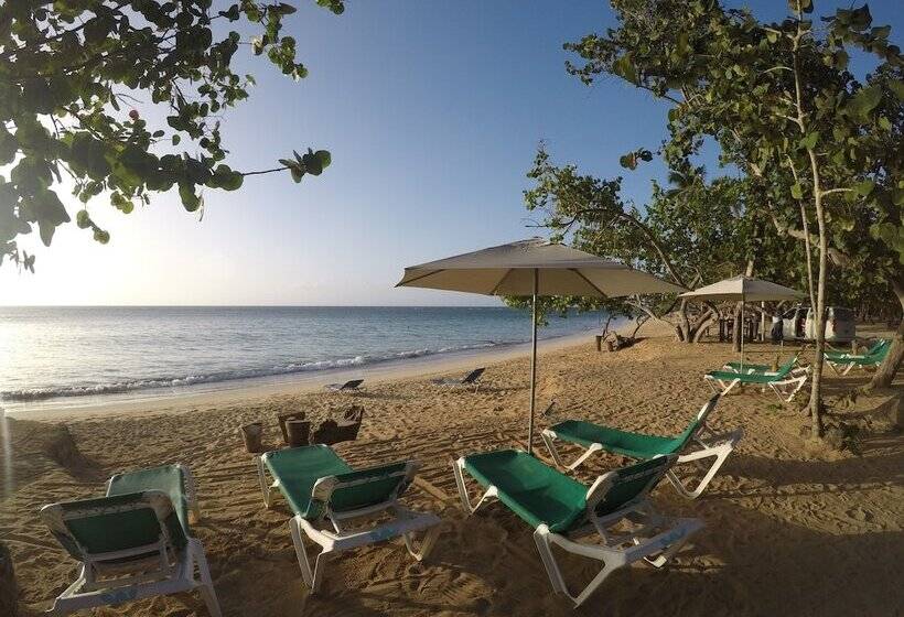 Afreeka Beach Hostel & Music Bar