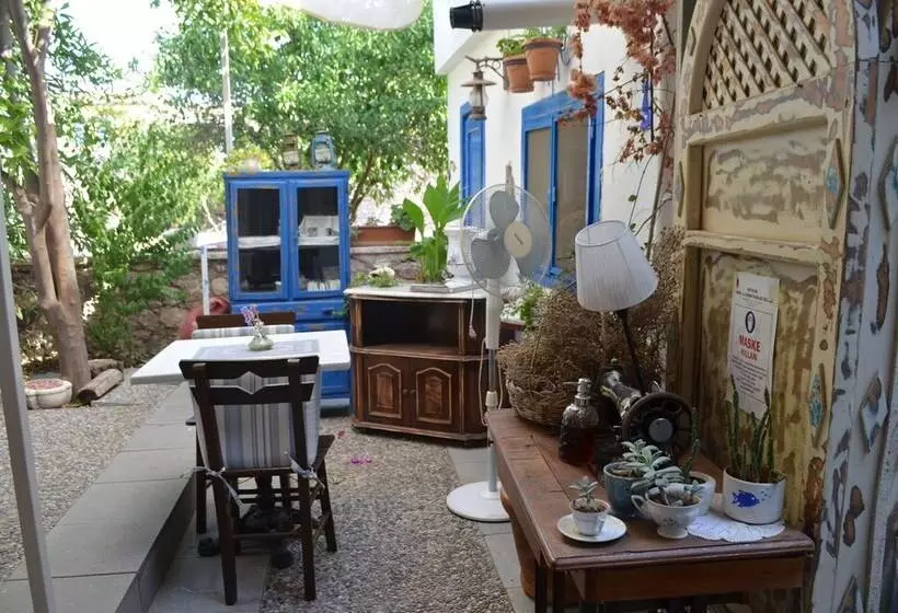 ユースホステル Cunda Adali Pansiyon