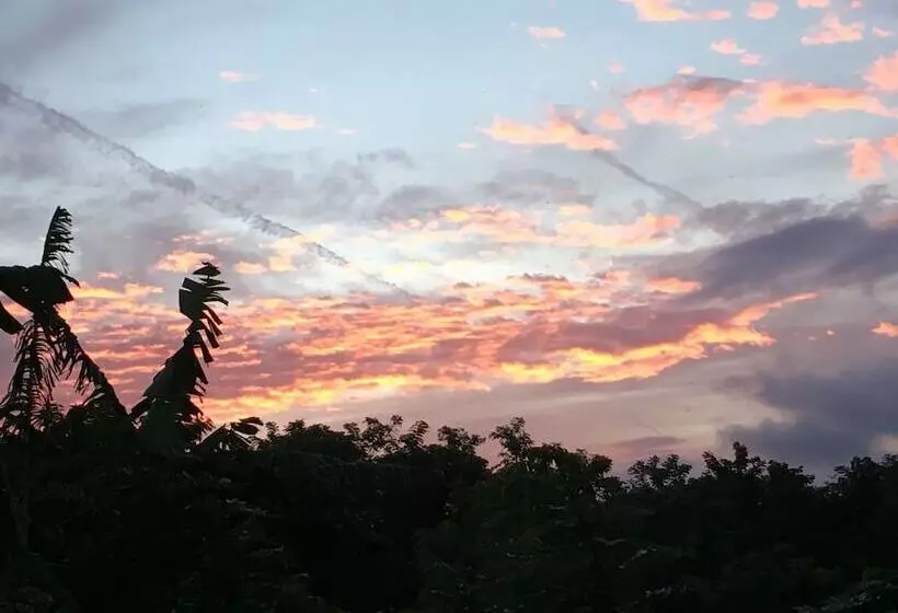 El Zopilote   Hostel