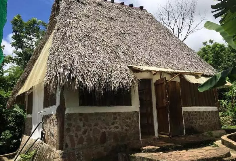 El Zopilote   Hostel