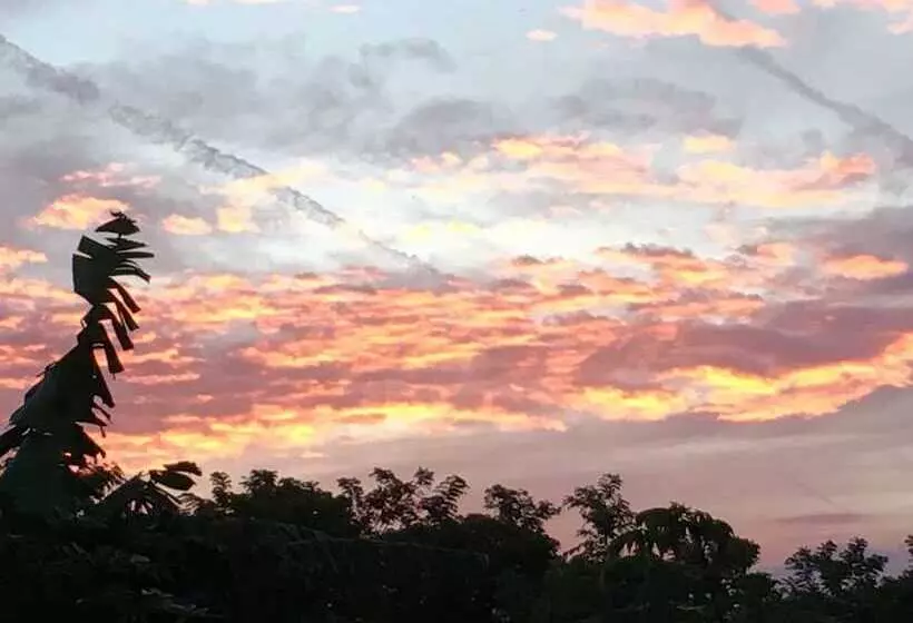 El Zopilote   Hostel