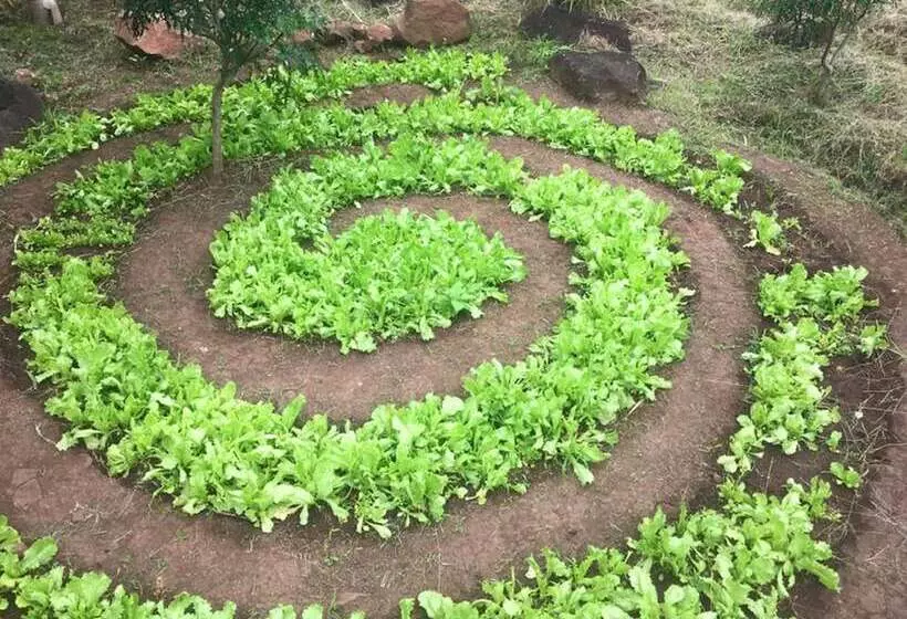 El Zopilote   Hostel