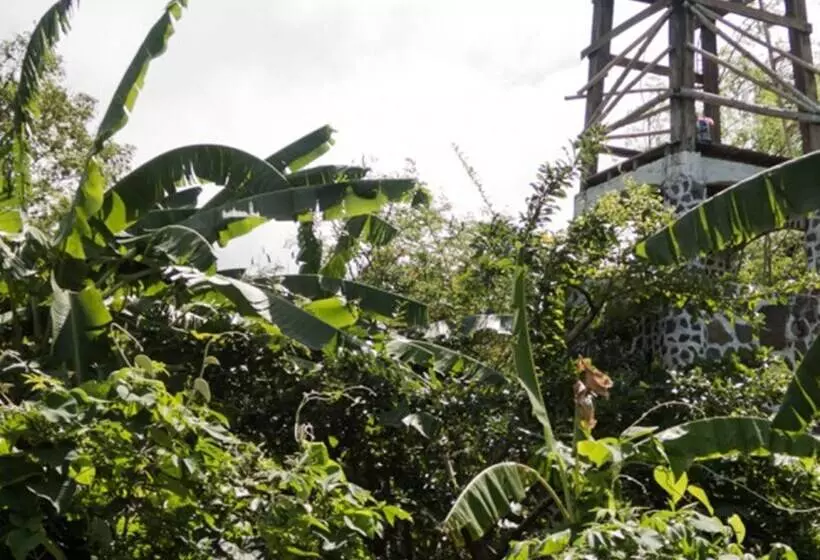 El Zopilote   Hostel