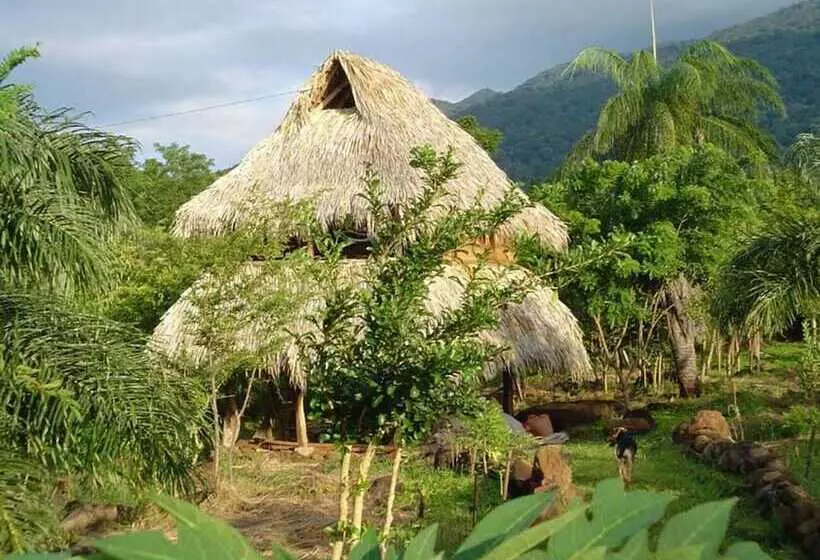 El Zopilote   Hostel