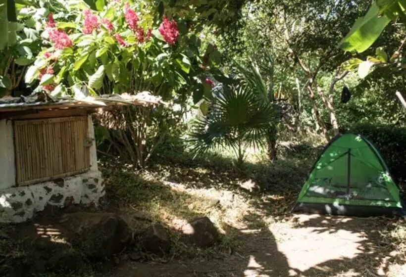 El Zopilote   Hostel