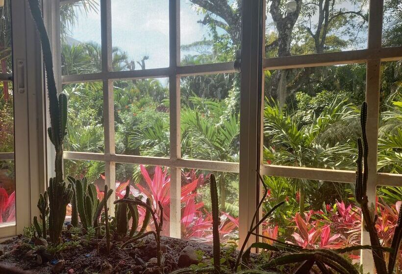 ホテル Cabaña Villa Victoria