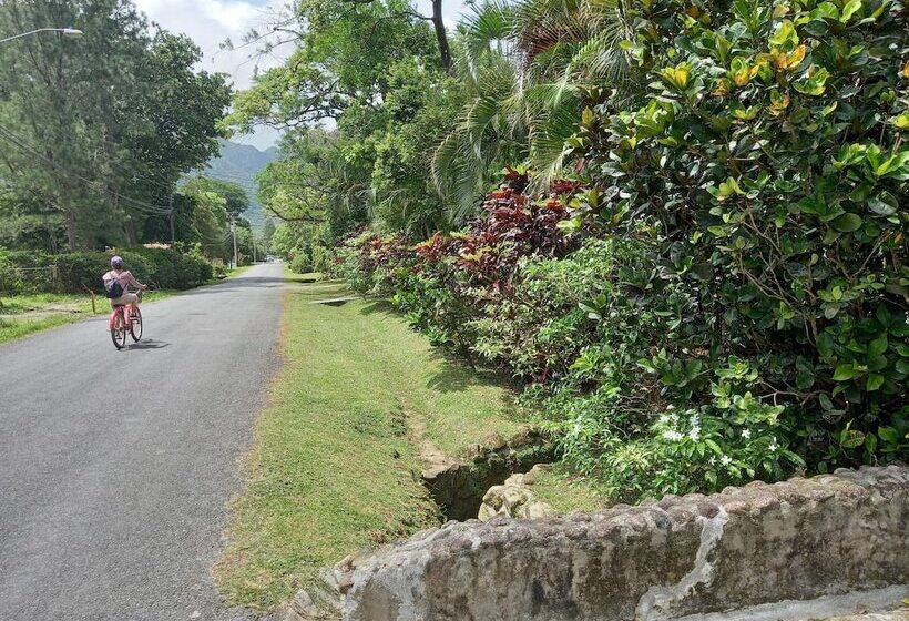 ホテル Cabaña Villa Victoria