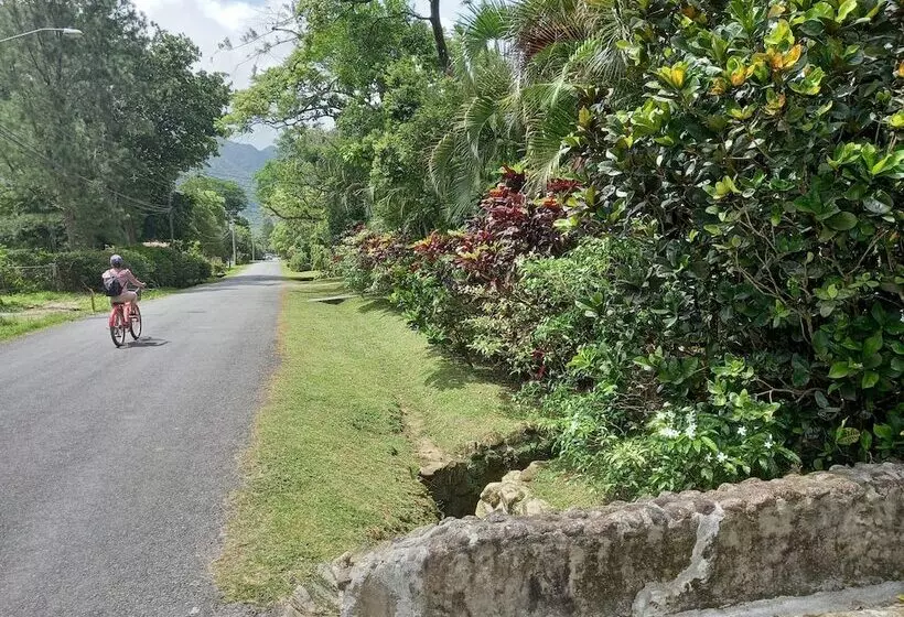 Hotelli Cabaña Villa Victoria