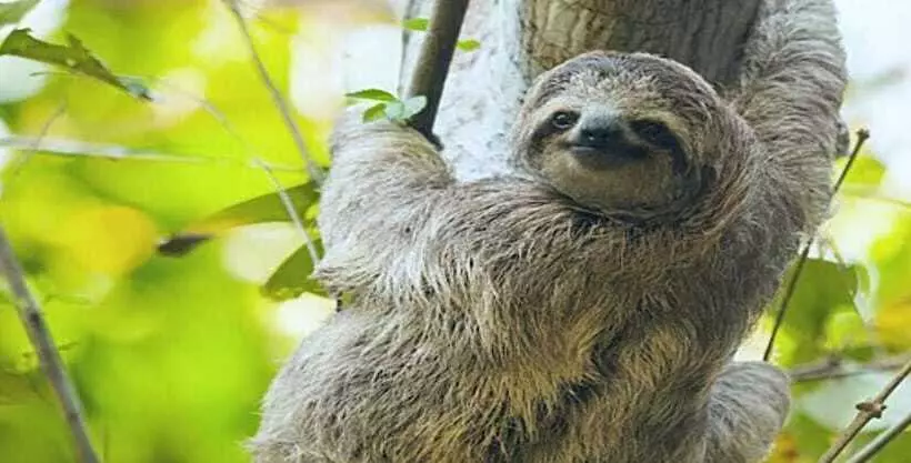 Hotelli Eco Granja Don Lolo