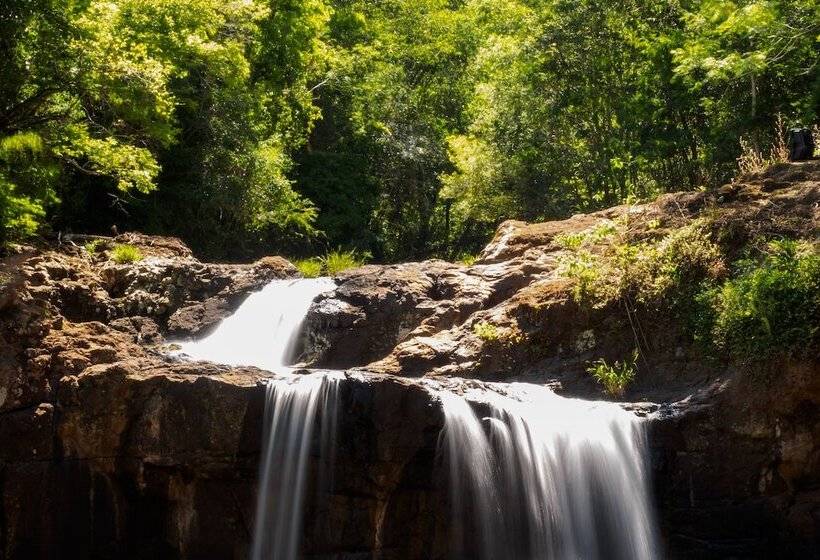 酒店 La Mision Macona