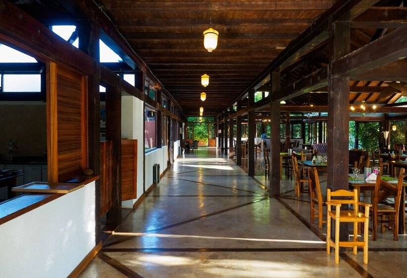 酒店 La Mision Macona