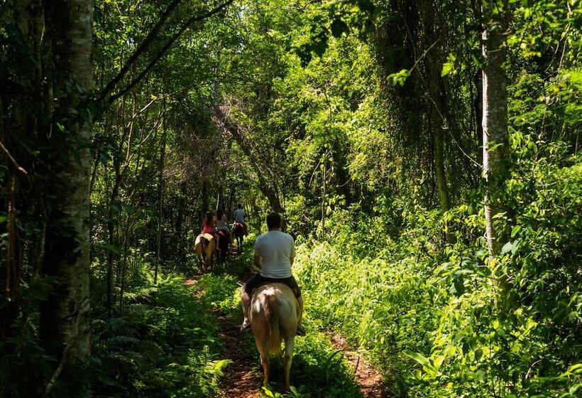 酒店 La Mision Macona