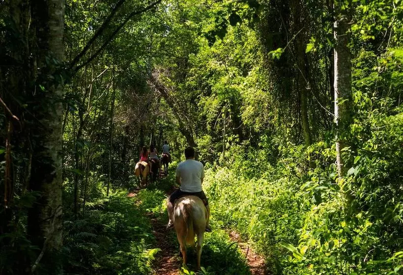 Hotelli La Mision Macona