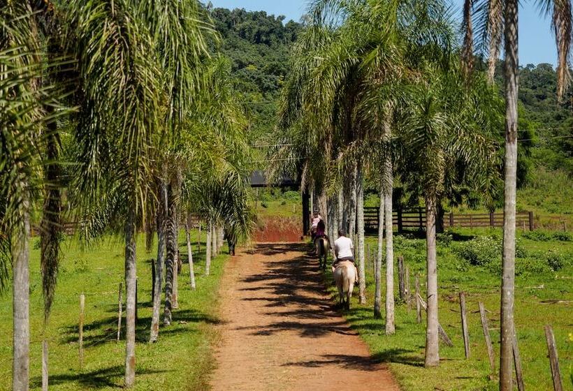 酒店 La Mision Macona