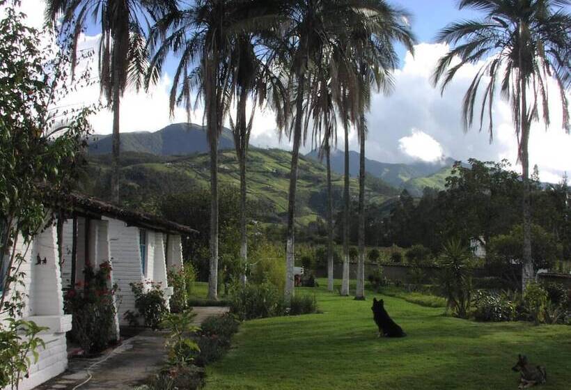 Hotel Las Palmeras Inn