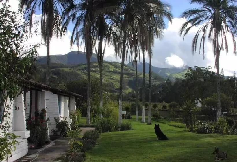 Hotelli Las Palmeras Inn