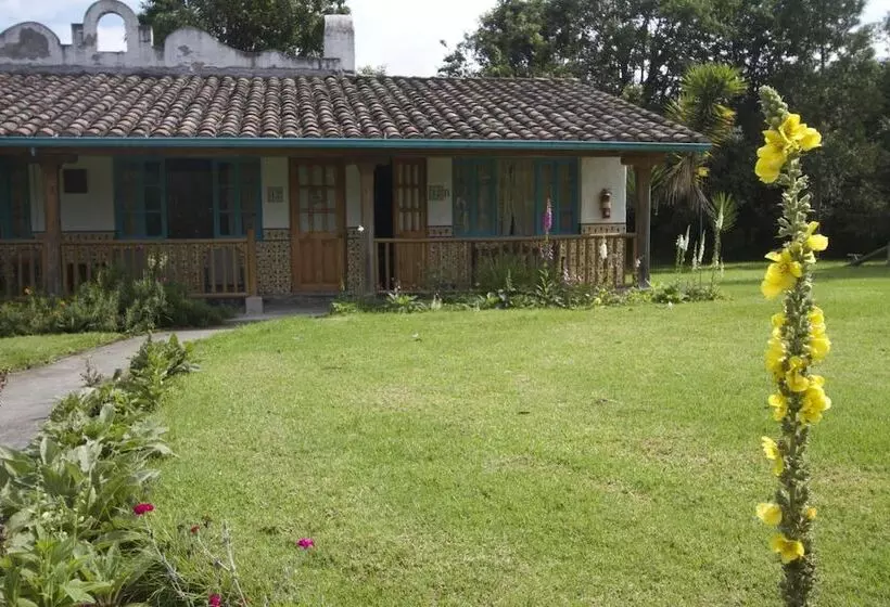 Hotelli Las Palmeras Inn