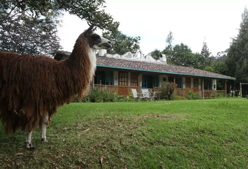 Hotelli Las Palmeras Inn
