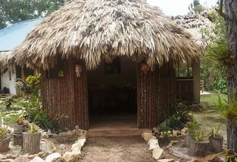 Hotelli Pine Ridge Lodge