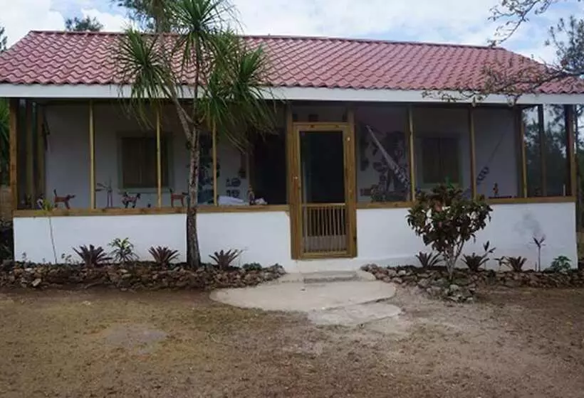 Hotelli Pine Ridge Lodge