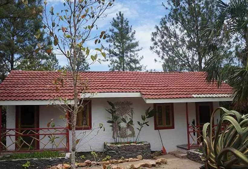 Hotelli Pine Ridge Lodge