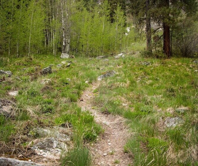 Отель Sawtooth Lodge