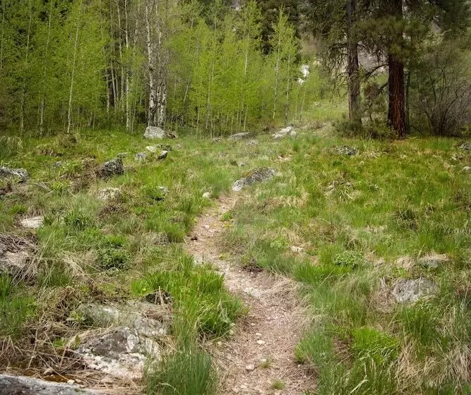 ホテル Sawtooth Lodge