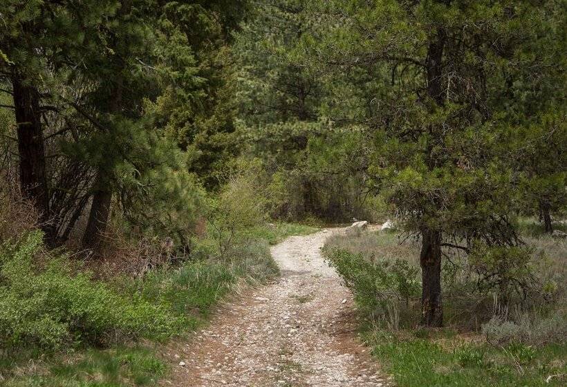 Отель Sawtooth Lodge