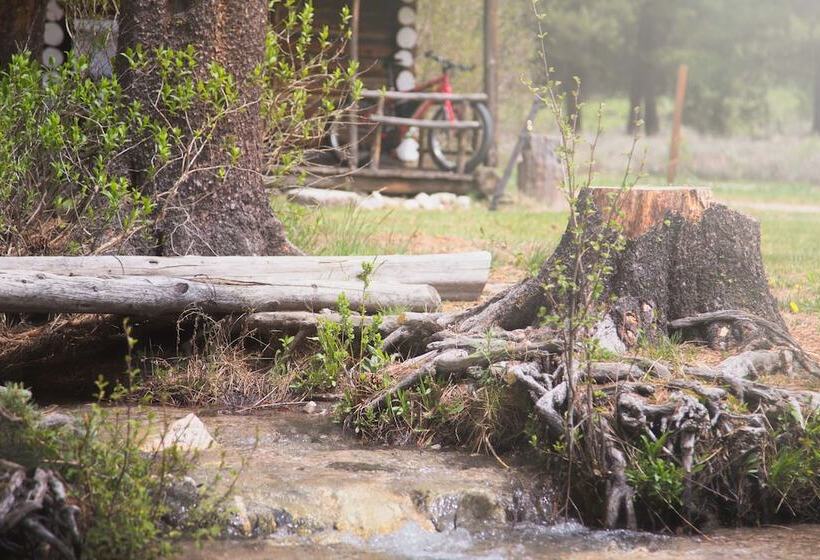 Отель Sawtooth Lodge