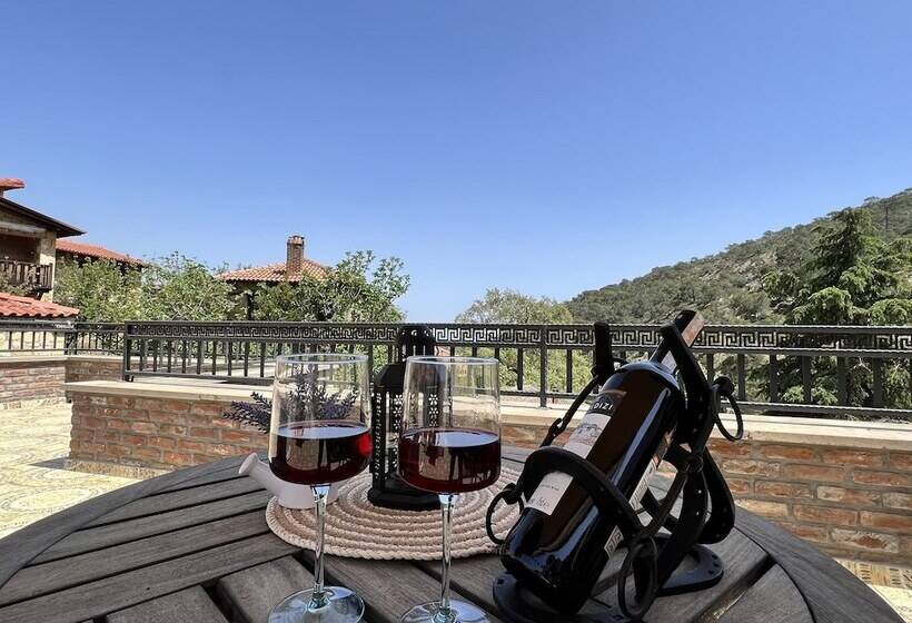 酒店 Pluvia Boutique