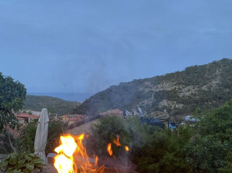 ホテル Pluvia Boutique