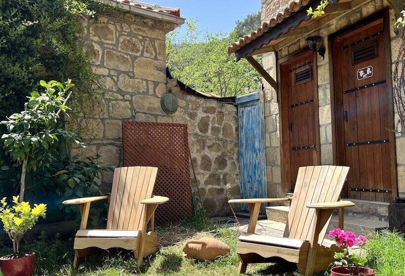 ホテル Pluvia Boutique