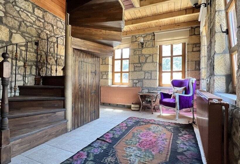 ホテル Pluvia Boutique