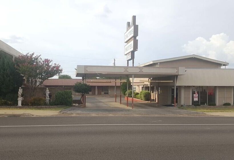 汽车旅馆  Cactus Inn And Suites