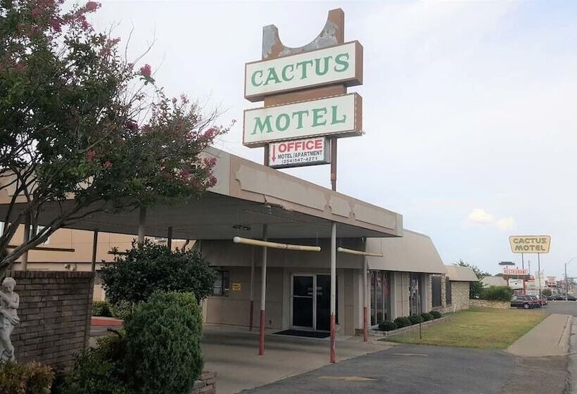 汽车旅馆  Cactus Inn And Suites