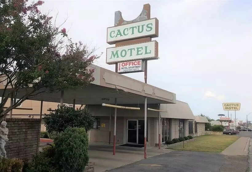 Motelli Cactus Inn And Suites