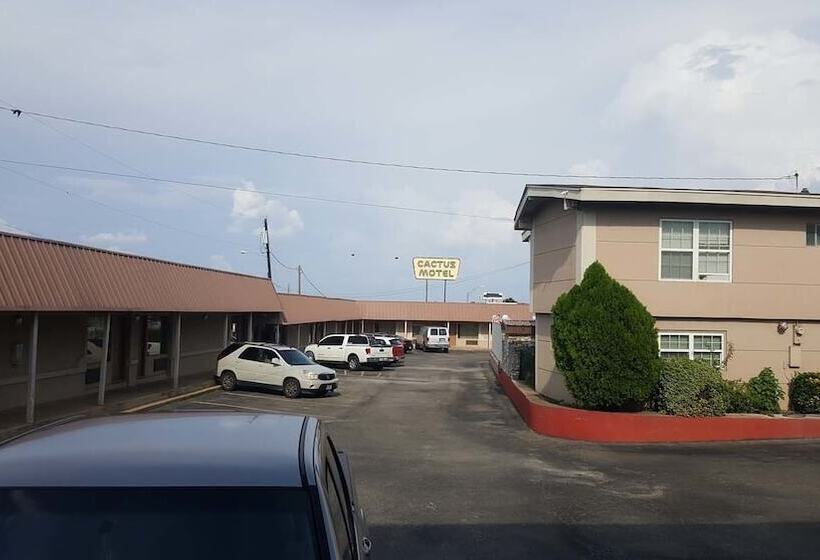 汽车旅馆  Cactus Inn And Suites