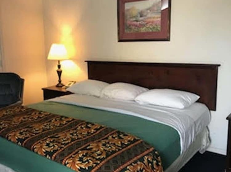 汽车旅馆  Cactus Inn And Suites