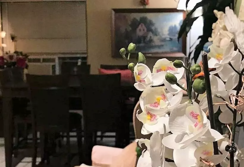 Motelli Cactus Inn And Suites