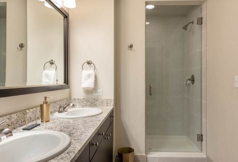 Pdc Luxury Apartment Tysons Corner